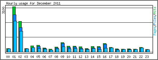 Hourly usage