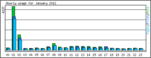 Hourly usage