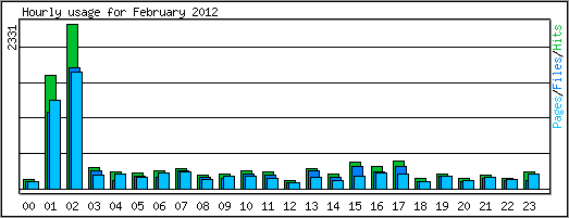 Hourly usage