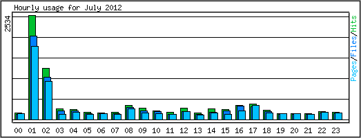 Hourly usage