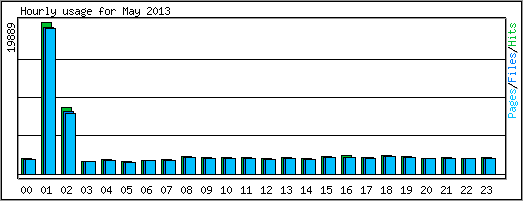Hourly usage