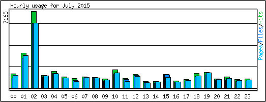 Hourly usage