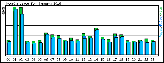 Hourly usage