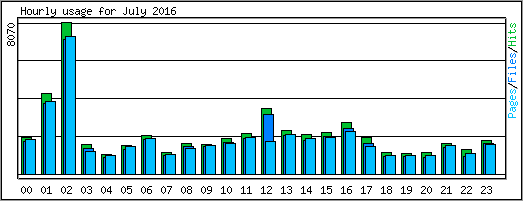 Hourly usage