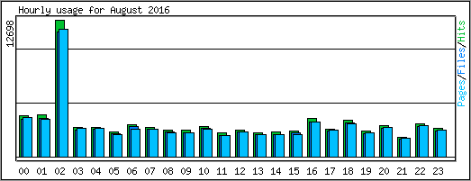 Hourly usage