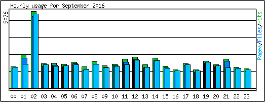 Hourly usage
