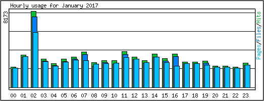 Hourly usage