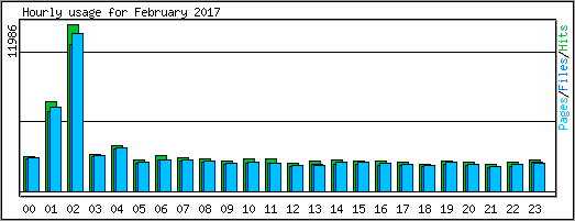 Hourly usage
