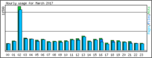 Hourly usage