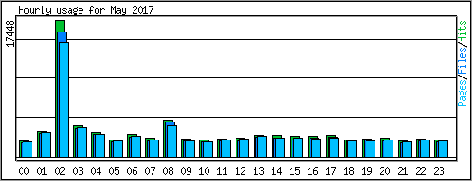 Hourly usage