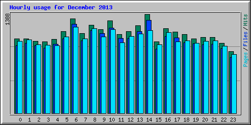 Hourly usage for December 2013